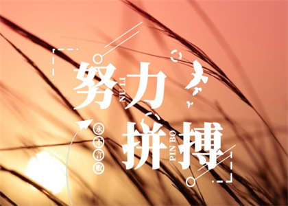 华北理工大学考研资讯